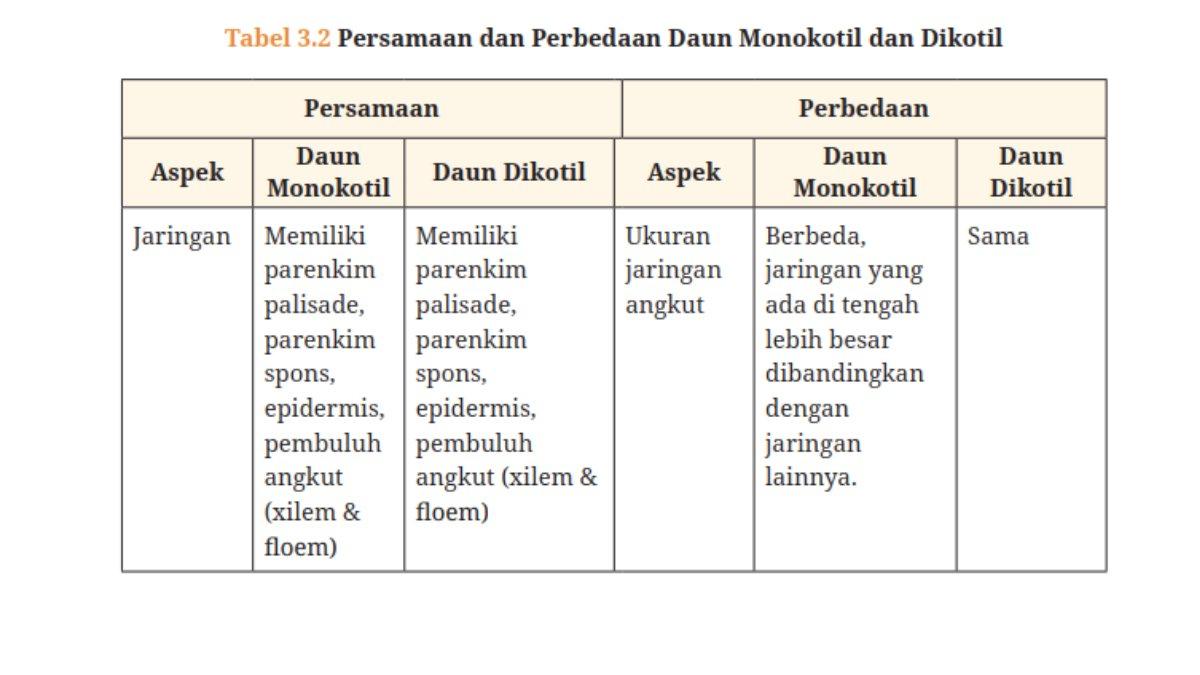 Kunci Jawaban Biologi SMA Kelas 11 Aktivitas 3.2 Halaman 63. Persamaan dan Perbedaan Daun Monokotil dan Dikotil.