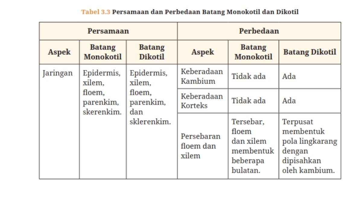 Kunci Jawaban Biologi SMA Kelas 11 Aktivitas 3.3 Halaman 65. Persamaan dan Perbedaan Batang Monokotil dan Dikotil.