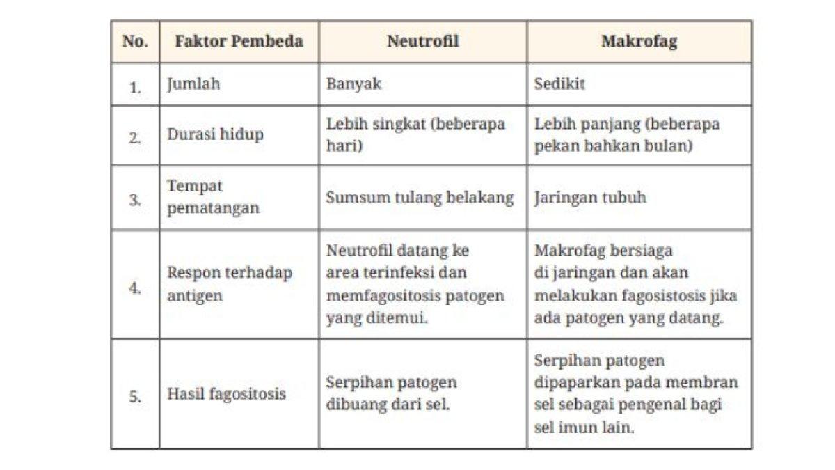 KUNCI JAWABAN - Berikut Kunci Jawaban Biologi kelas 11 SMA/MA untuk menjawab soal pada Aktivitas 5.6, Halaman 147, diakses Sabtu (1/2/2025).