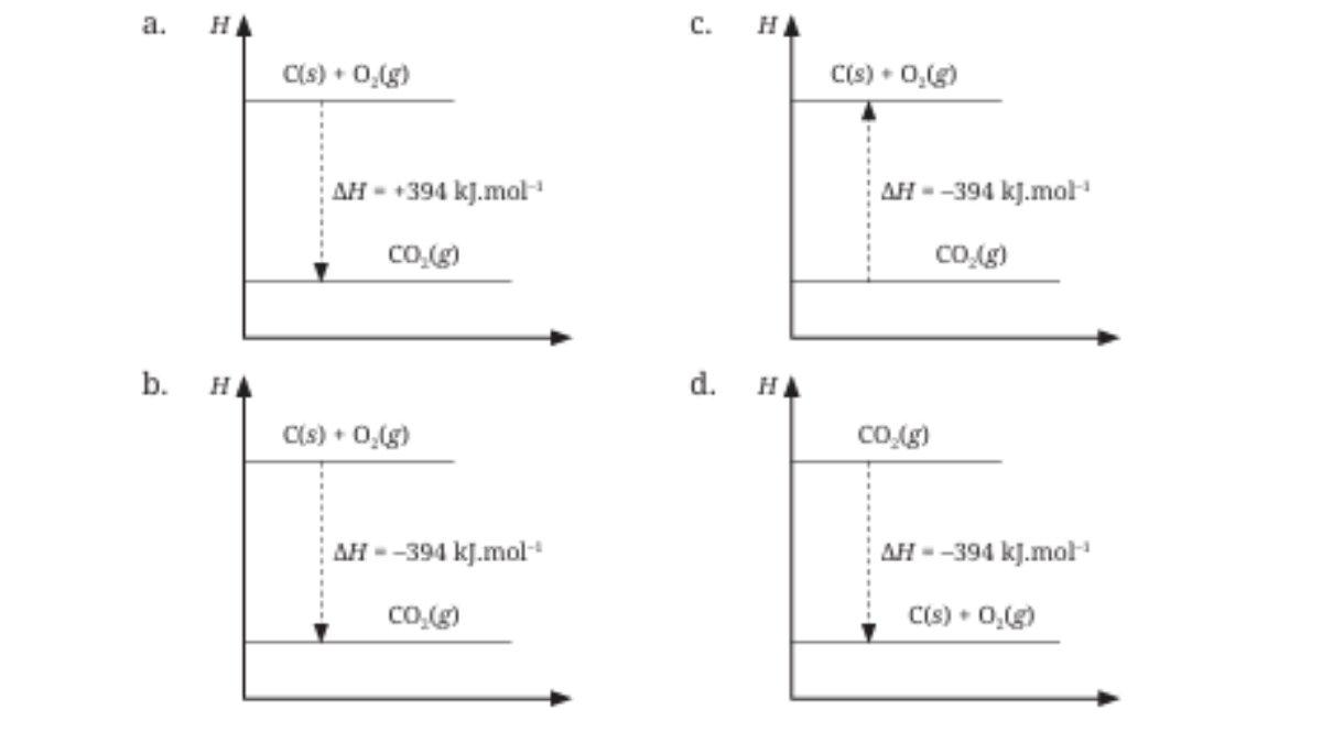 Berikut pilihan jawaban diagram nomor 5.