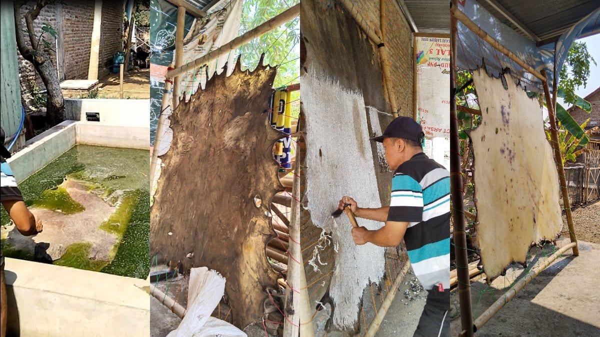 Proses Pengerokan Kulit