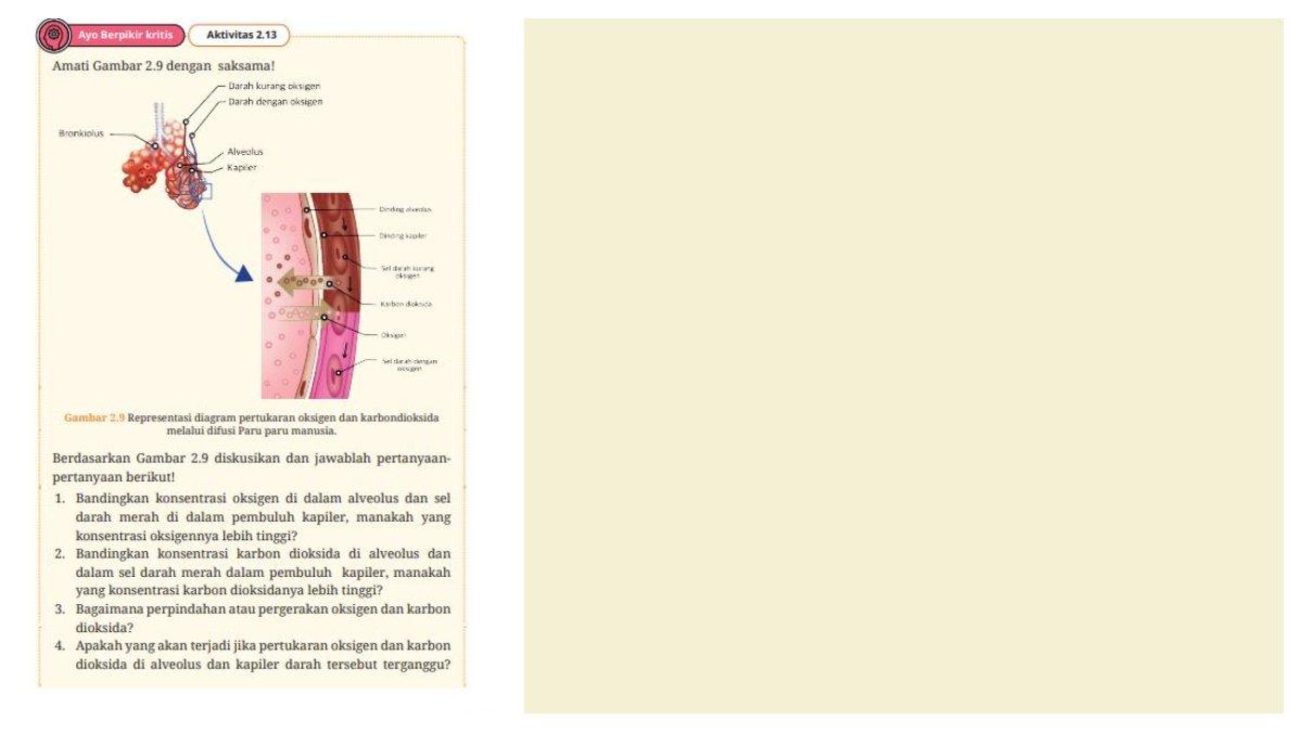 Soal Aktivitas 2.13 dalam Buku Biologi Kelas 11 Bab 2
