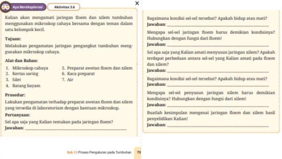 Soal Biologi kelas 11 SMA Bab 3 Proses Pengaturan pada Tumbuhan aktivitas 3.6 halaman 73-74 Kurikulum Merdeka