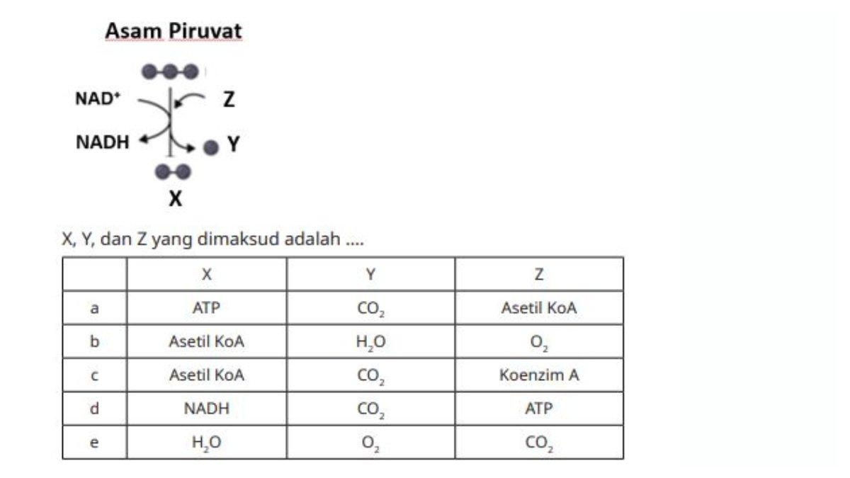 Bagan Dekarboksilasi Oksidatif terdapat pada halaman 53, soal nomor 10 buku Biologi Kelas 12 SMA Kurikulum Merdeka.