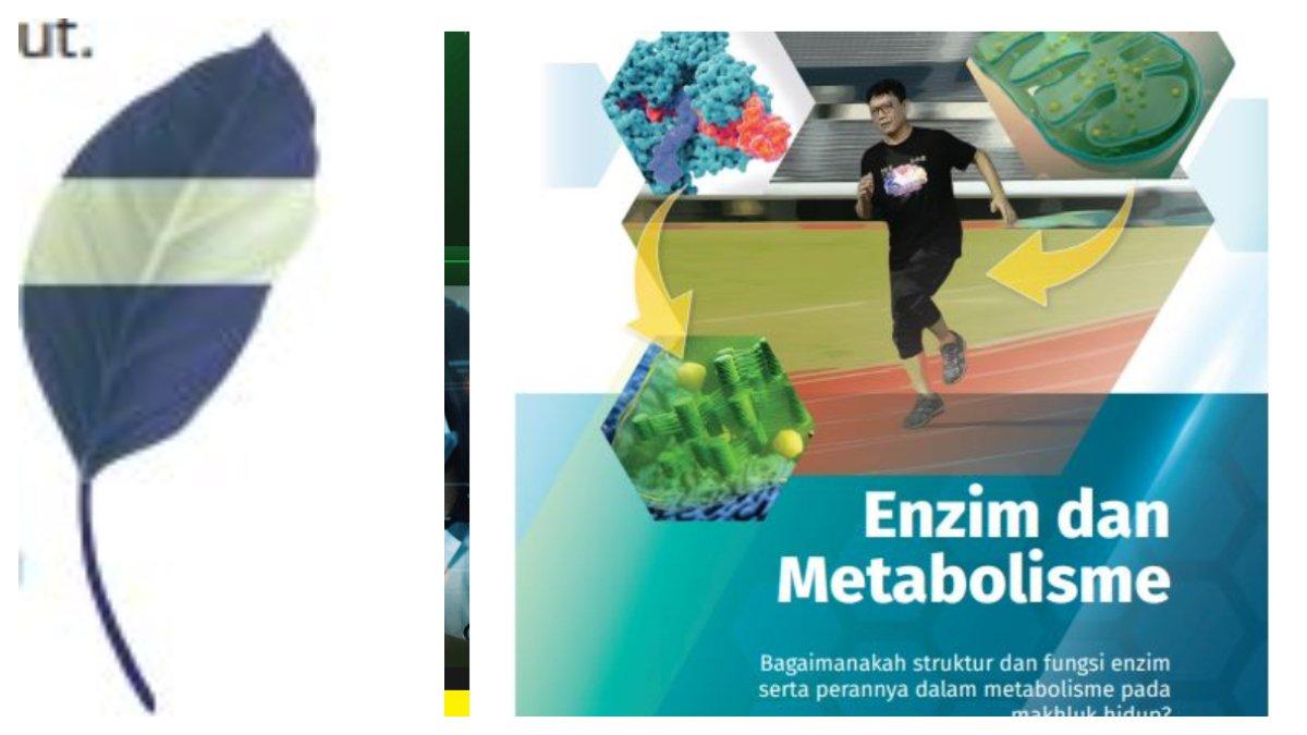 Soal nomor 18 berupa gambar sebagai media pendukung, Uji Kompetensi Bab 1 Enzim dan Metabolisme halaman 53.