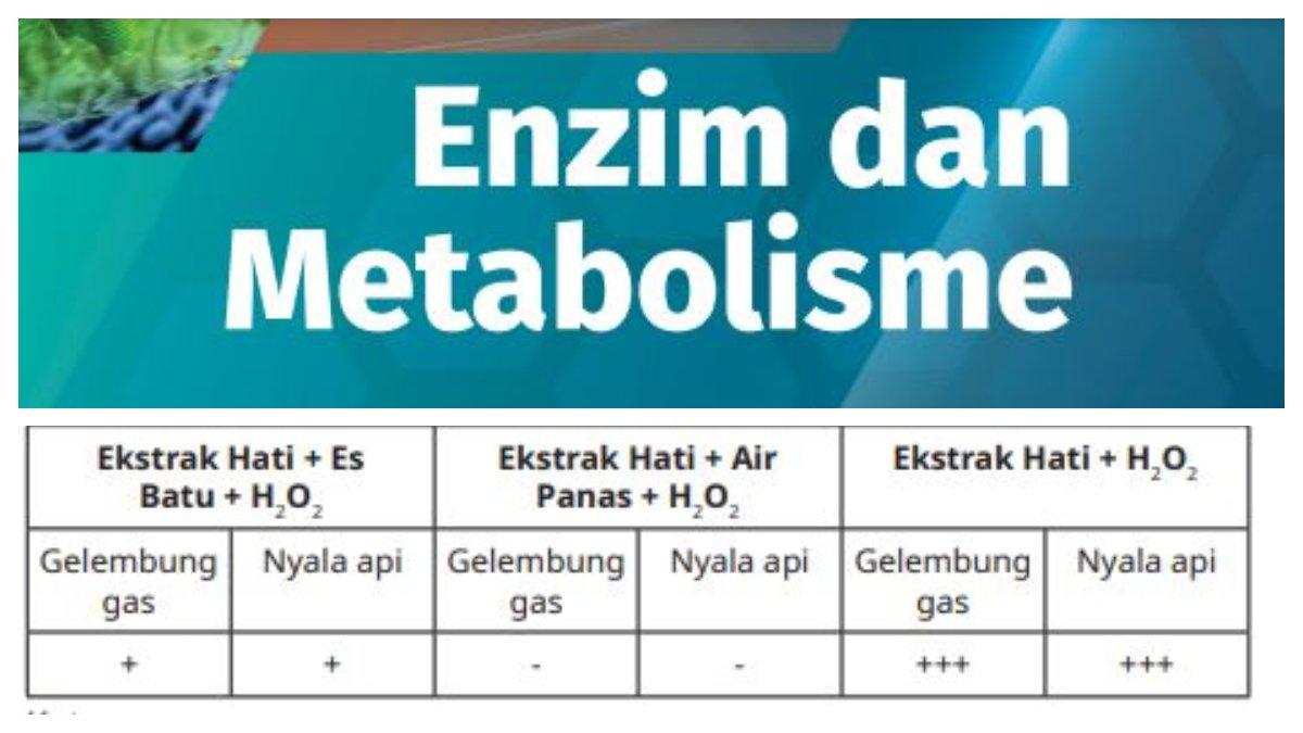 Tabel soal nomor 6 terdapat pada buku Biologi Kelas 12 SMA Kurikulum Merdeka halaman 51.