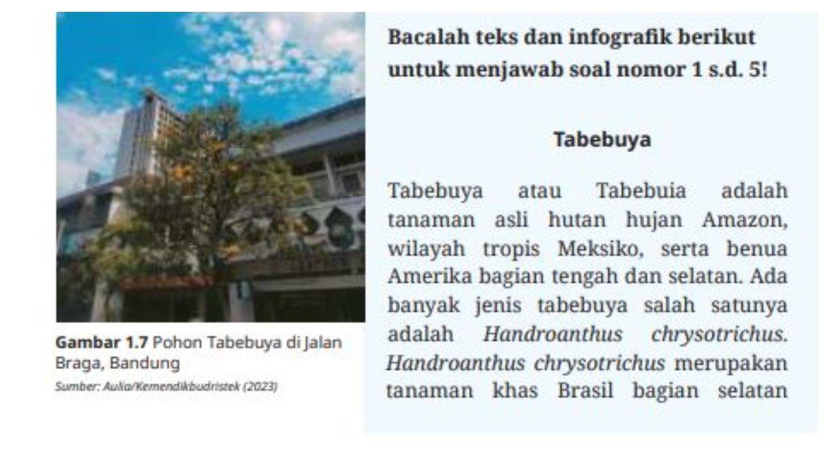 Teks dan Infografik untuk Soal Nomor 1 sd 5 halaman 29-30.