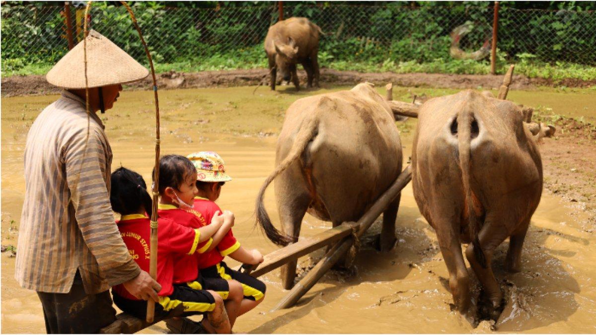 Karyawan unit kelompok sadar wisata (pokdarwis) BUMDes Gerbang Lentera sedang bersama anak-anak sekolah dasar yang berkunjung ke Desa Lerep.