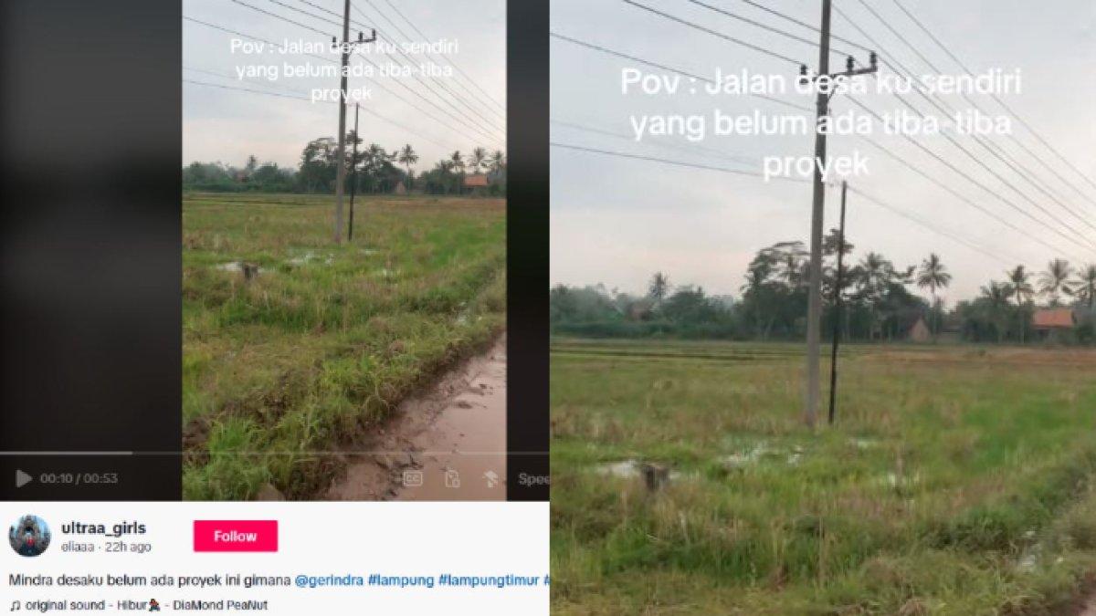 Kolase unggahan TikTok sebuah jalanan rusak di Kecamatan Batanghari, Lampung yang langsung direspons oleh Partai Gerindra, Senin (4/11).