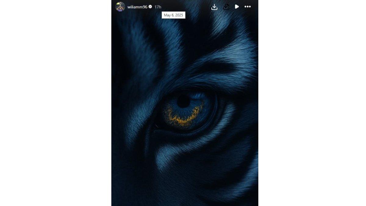 WILIAM MARCILIO BERI KODE GABUNG PERSIB BANDUNG - Eks Arema FC, Wiliam Marcilio beri kode keras gabung Persib Bandung dengan unggah wajah Harimau di Instagram.