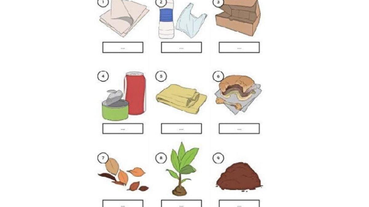 Worksheet 3.23