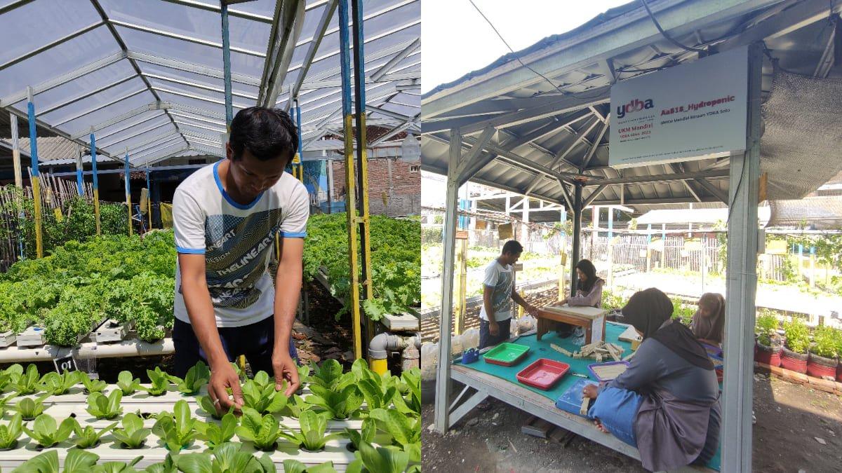 Anggi Bitho Lokmanto (34), pemilik Aa818_Hydroponic saat merawat sayuran di tanah wakaf Pondok Pesantren Mahasiswa Tanwirul Fikr, Jebres, Solo, Jawa Tengah, Senin (30/9/2024).