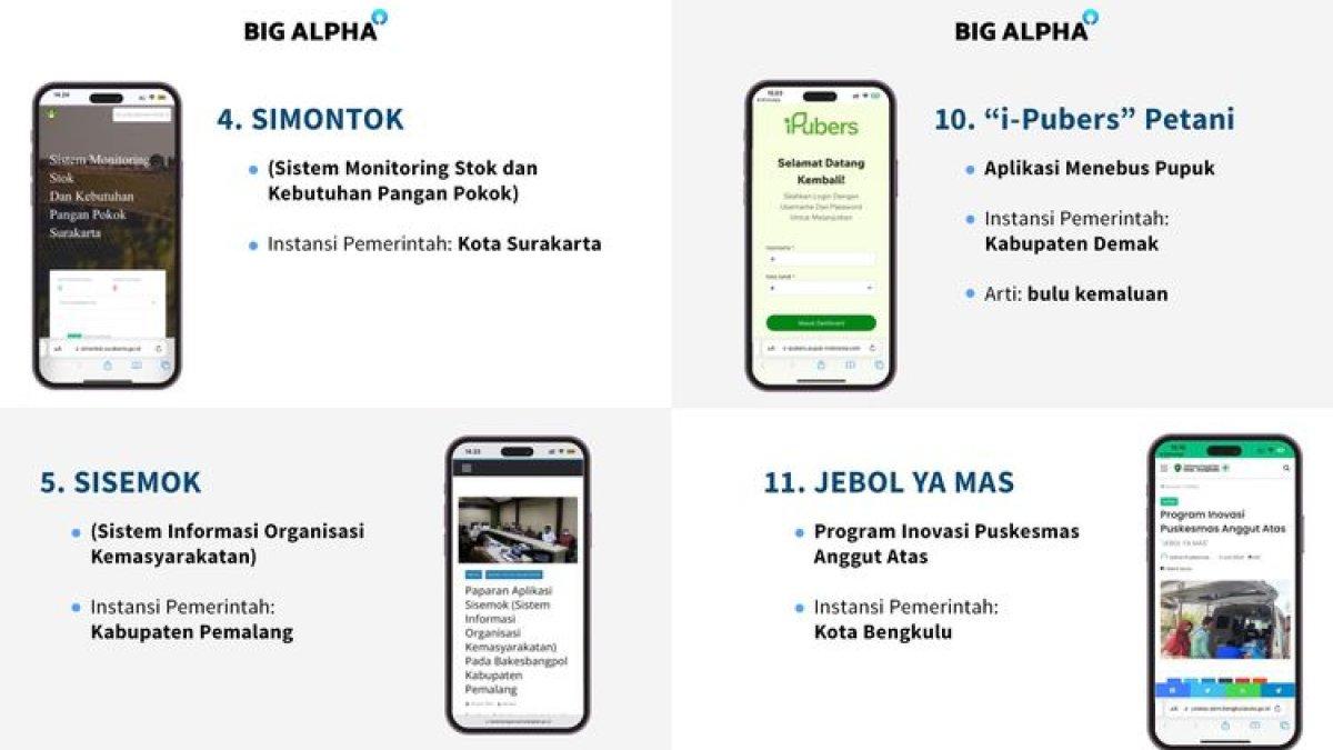 Tangkap layar aplikasi dan situs pemerintah daerah yang diberi nama saru atau jorok.