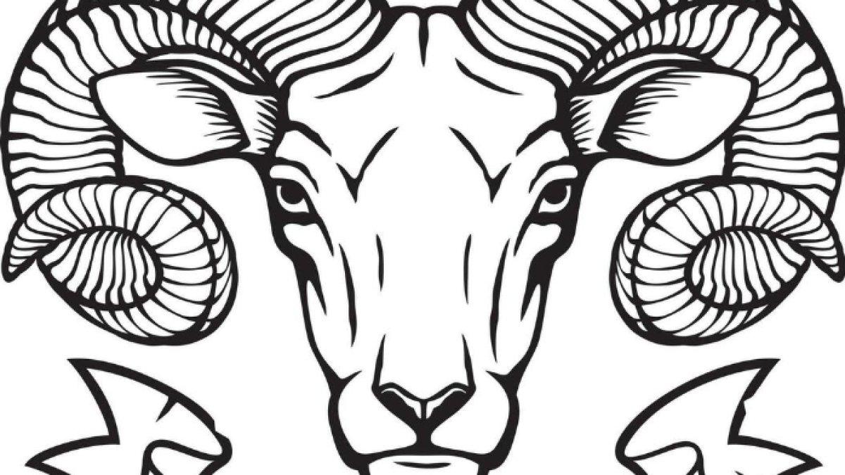 lambang zodiak Aries: banteng