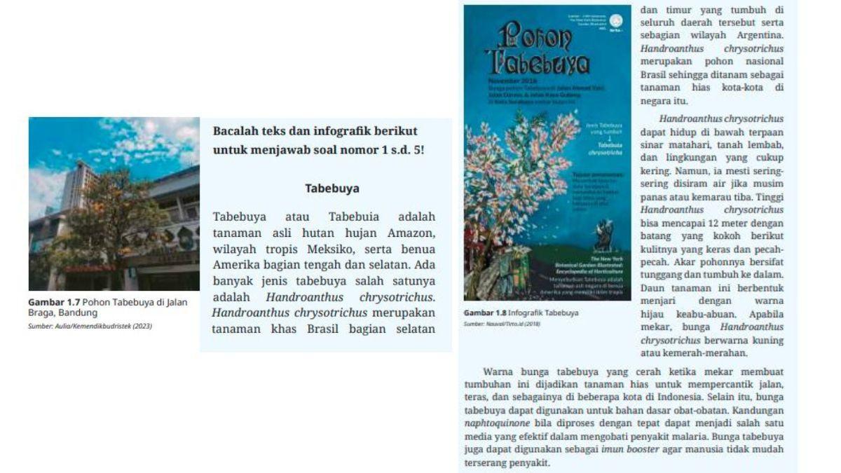 KUNCI JAWABAN - Teks dan infografik untuk soal nomor 1 sampai 5 Bahasa Indonesia Bab 1 Uji Kompetensi Kelas 10 SMA.