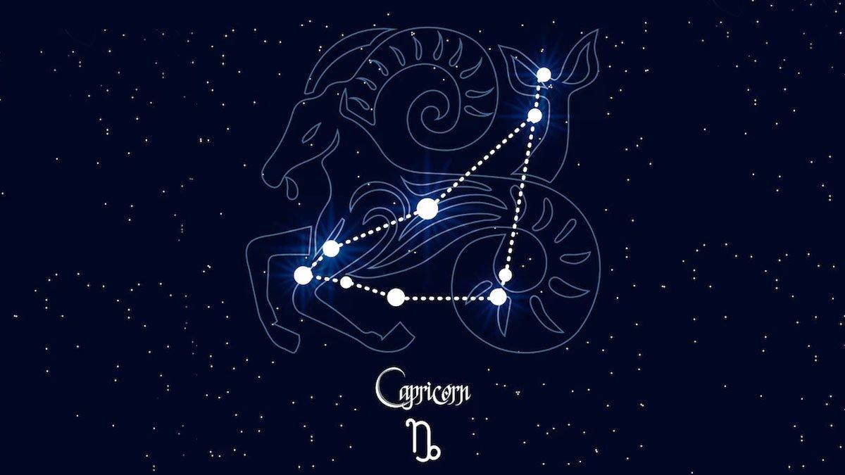 carpricorn 213