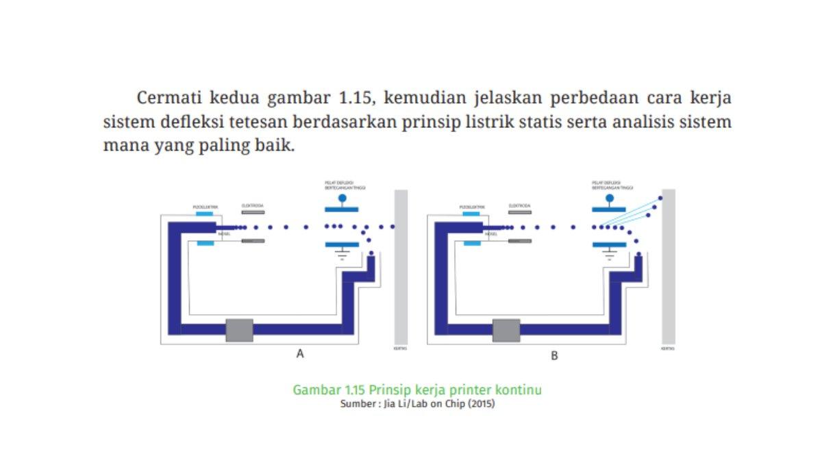 Gambar 1.15: Ayo Bernalar Kritis, Halaman 11.