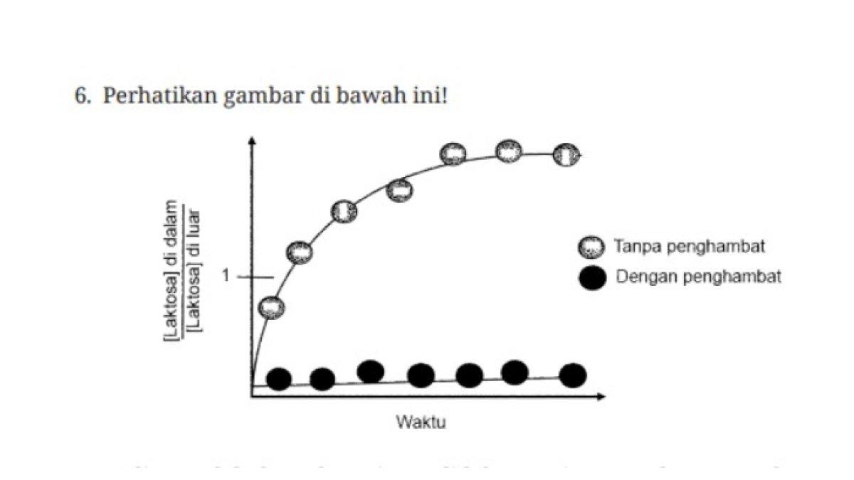 Gambar ditujukan untuk mengerjakan soal nomor 6 BAB 2 halaman 55