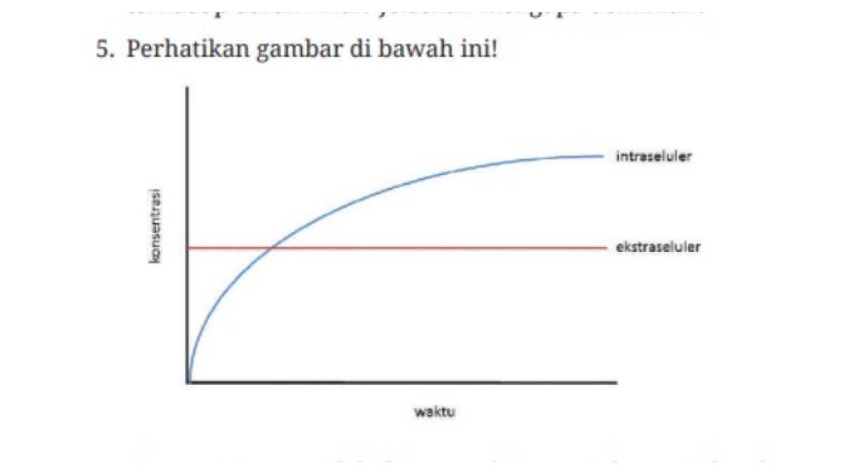Untuk soal nomor 5 uji kompetensi BAB 2 hal 54