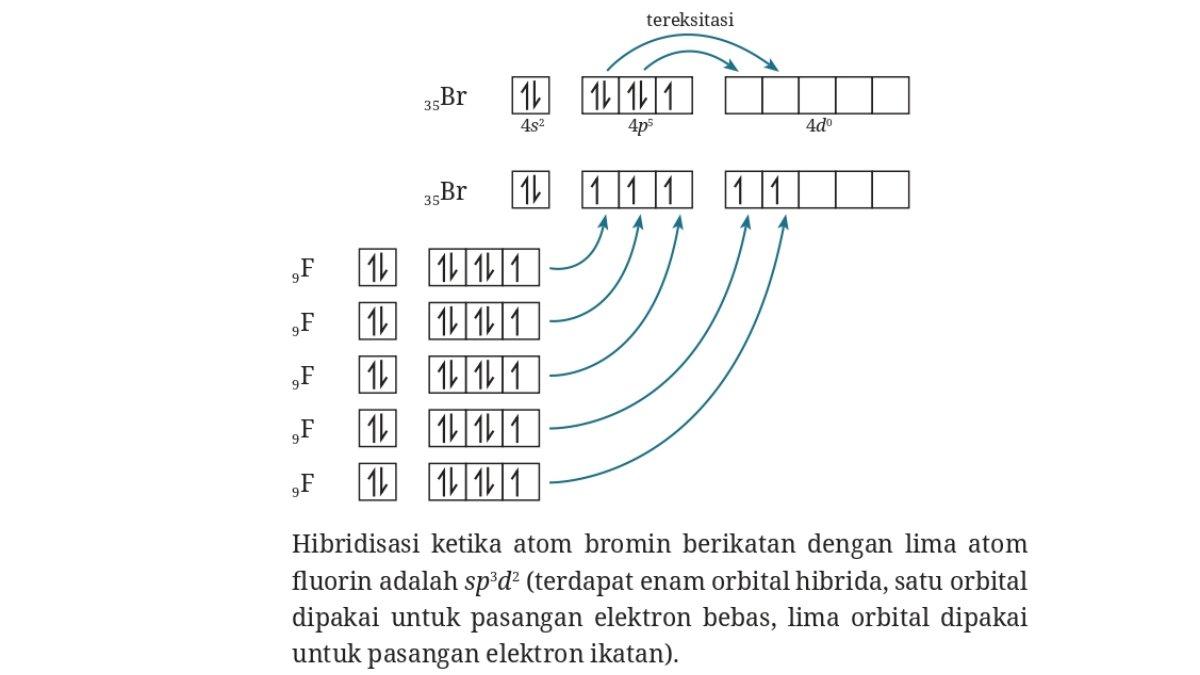 Jawaban Biologi kelas 11 Kurikulum Merdeka Bab 2, Ayo Berlatih halaman 53.
