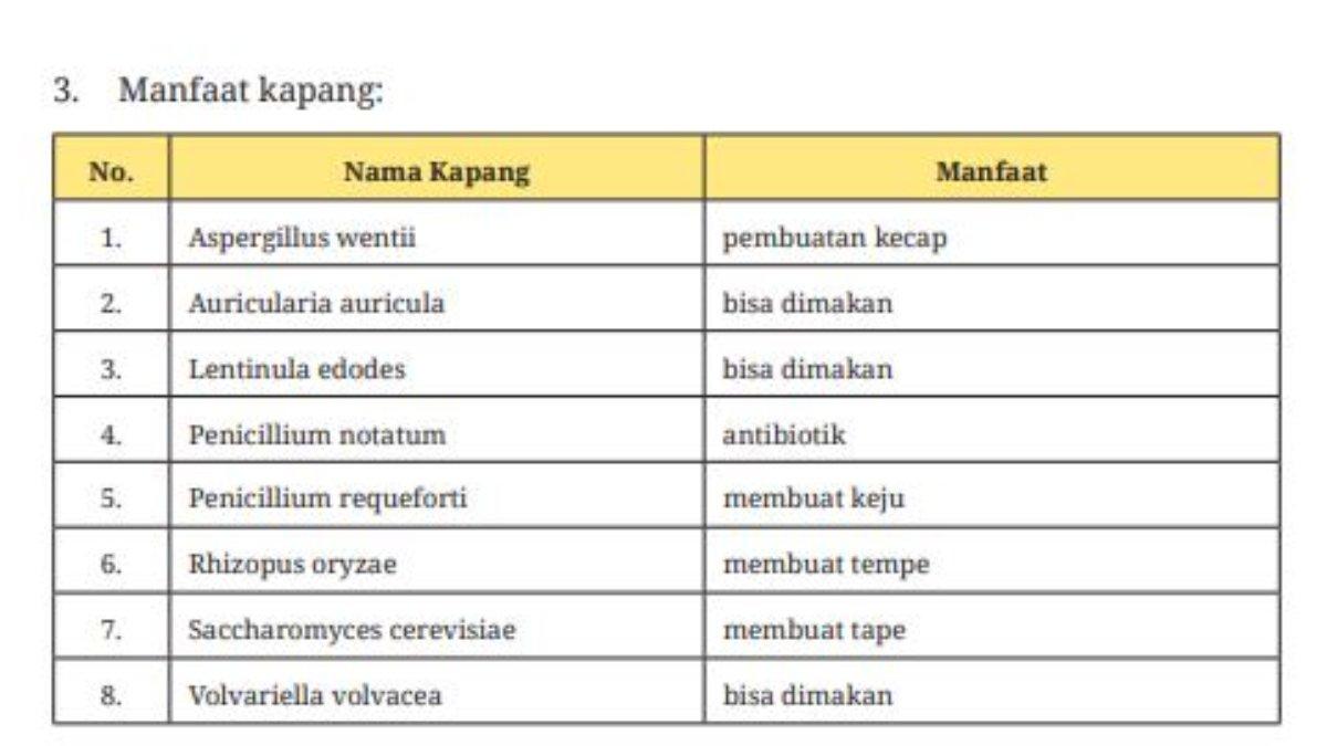 Jawaban nomor 3 Bab 12: Uji Kompetensi, Manfaat Kapang.