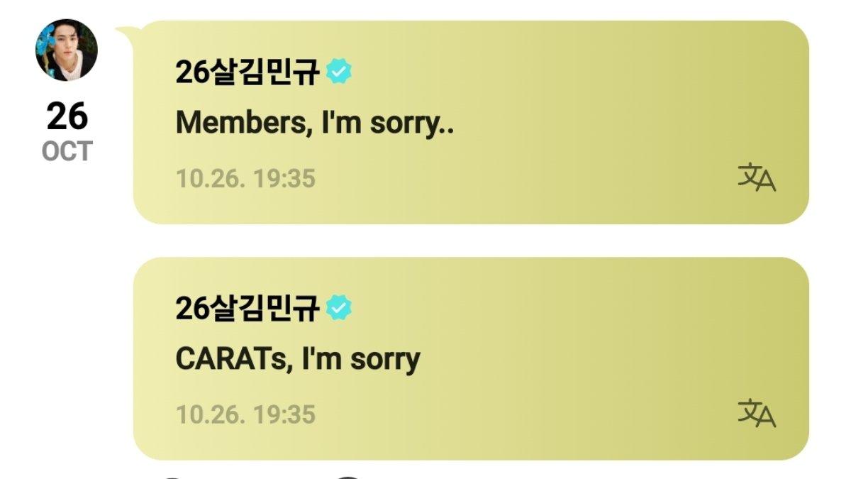 mingyu seventeen hiatus