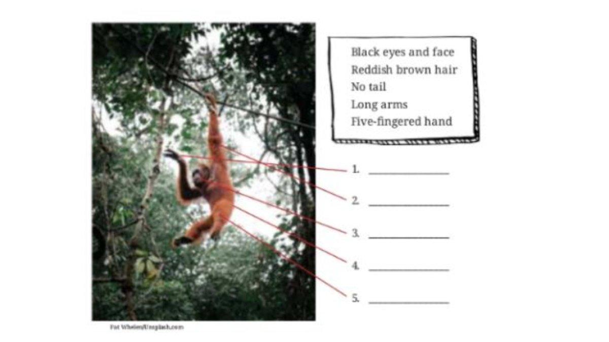 Worksheet 1.12 halaman 50