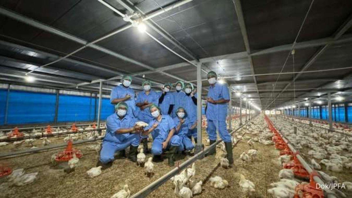 Fasilitas peternakan ayam PT Japfa Comfeed Indonesia Tbk.