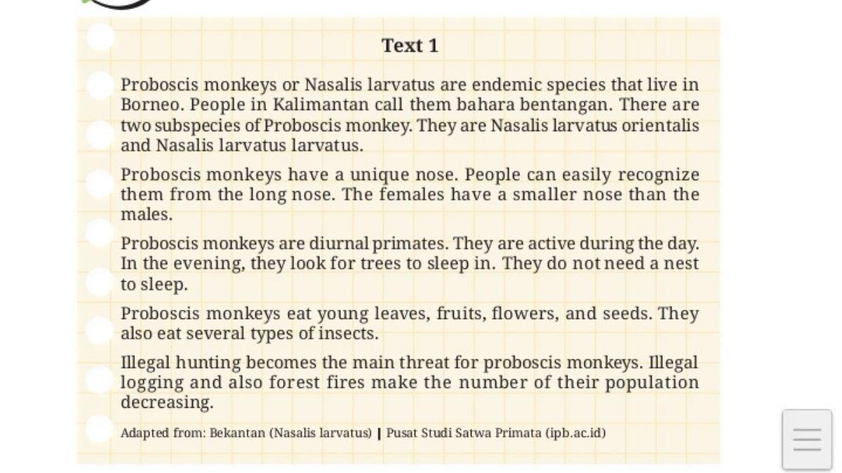 Text 1