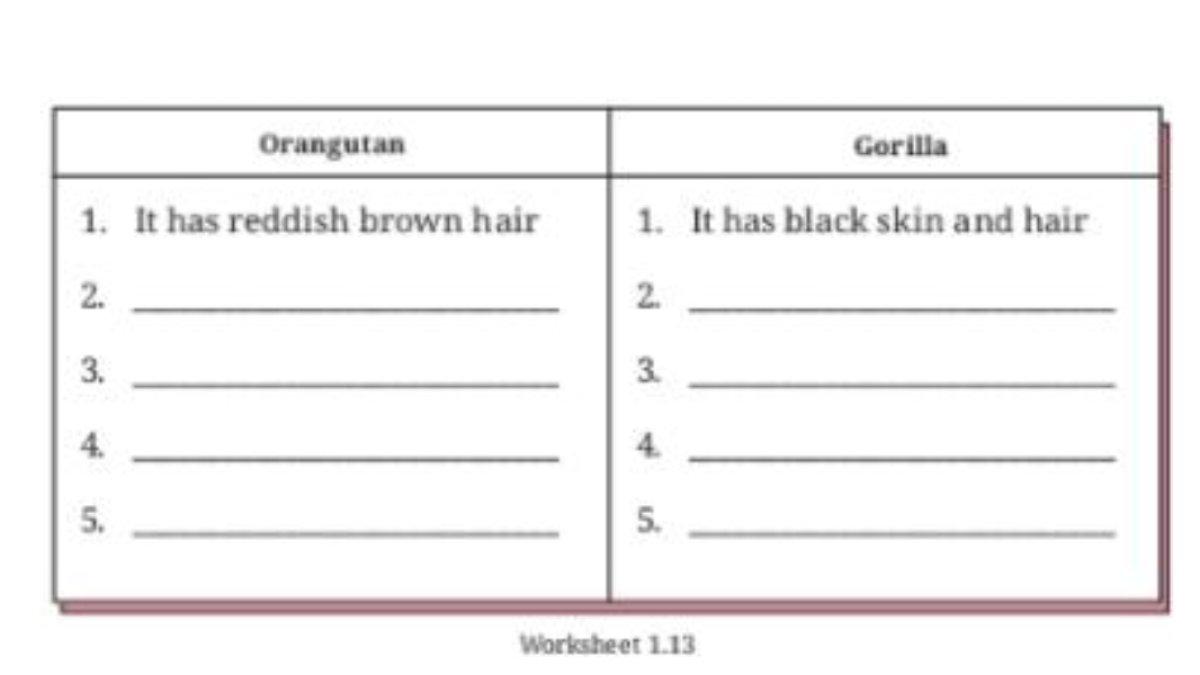 Worksheet 1.13 halaman 51
